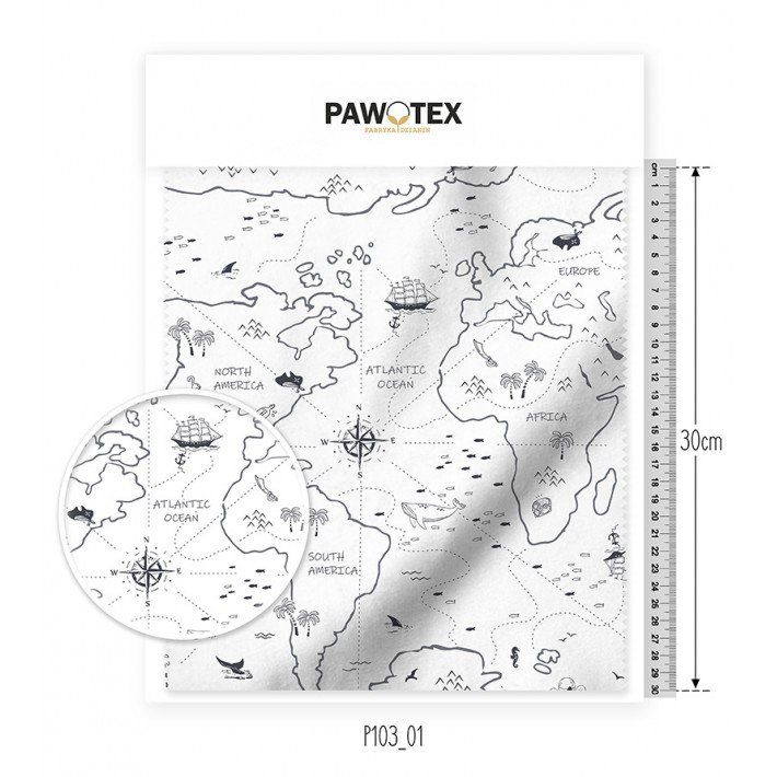 Dresówka D02 Druk Mapa świata P103_01