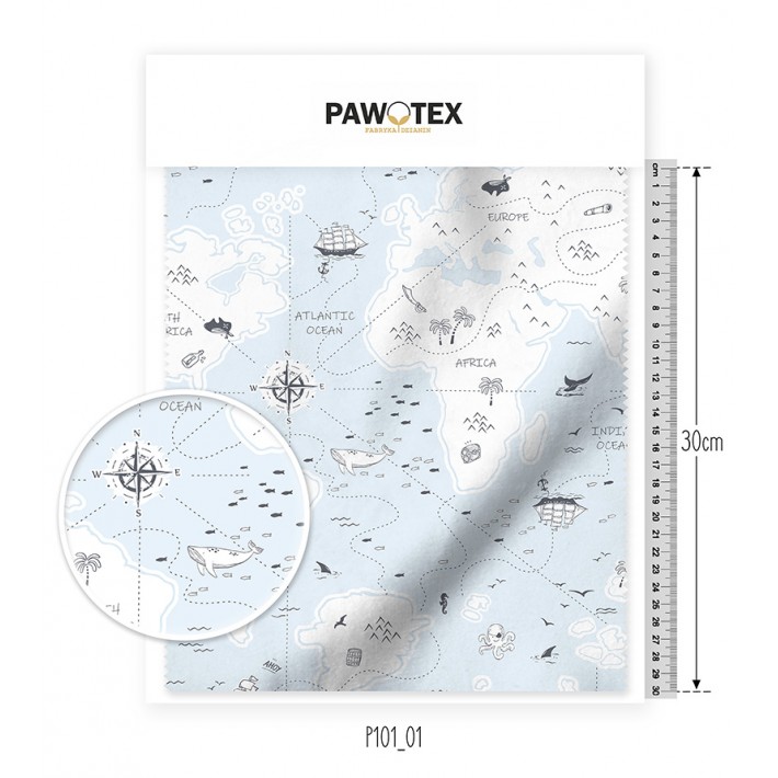 Dresówka D02 Druk Mapa świata P101_01